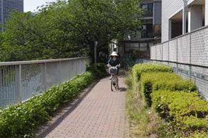 夏天一定要备一个防风遮阳帽,夏季必备渔夫帽防晒防紫外线