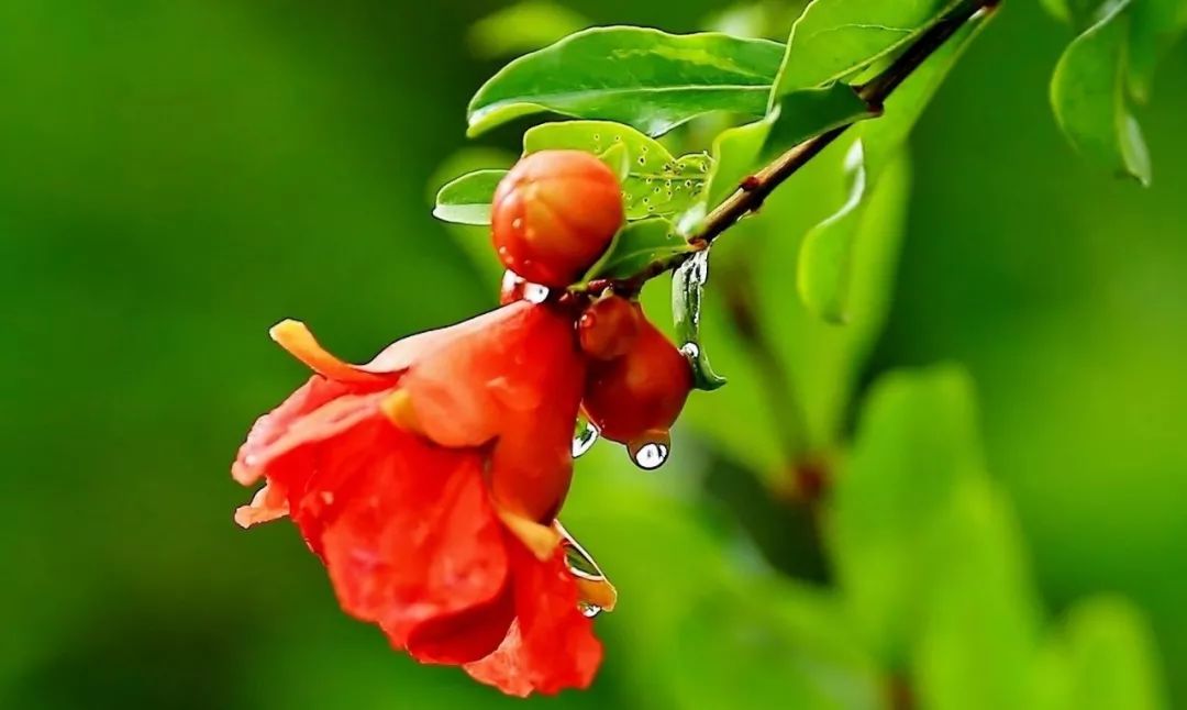 去朋友家过端午，他写下了这首传世名篇