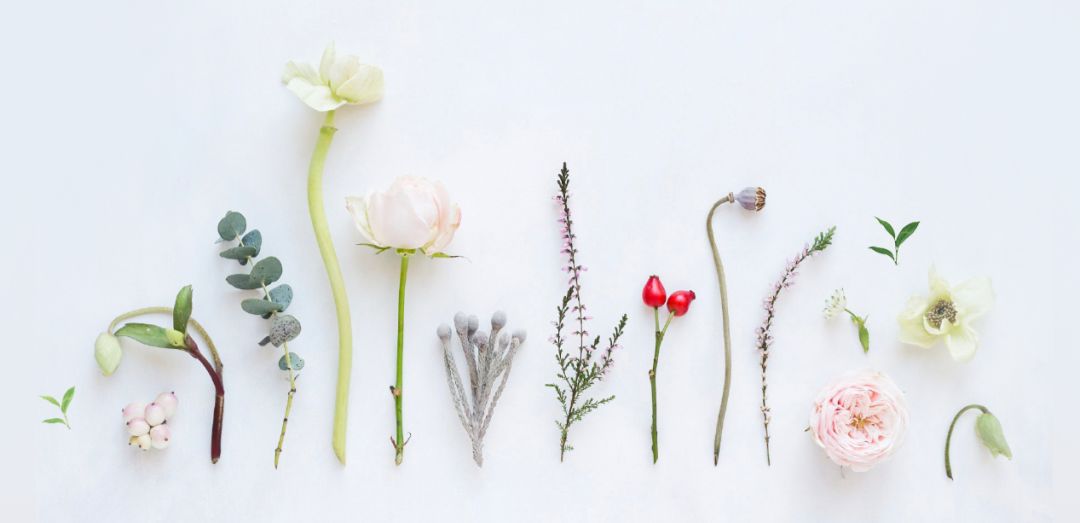 有必要用哪一款水乳,一辈子就能用一套水乳