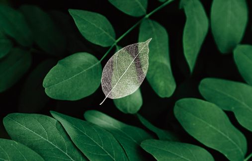 有必要用哪一款水乳,一辈子就能用一套水乳