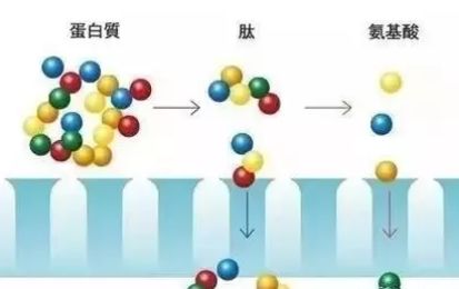 有必要用哪一款水乳,一辈子就能用一套水乳