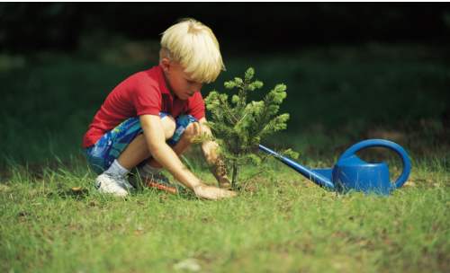 中度铅中毒对孩子智力有影响吗,铅中毒孩子智力能恢复吗
