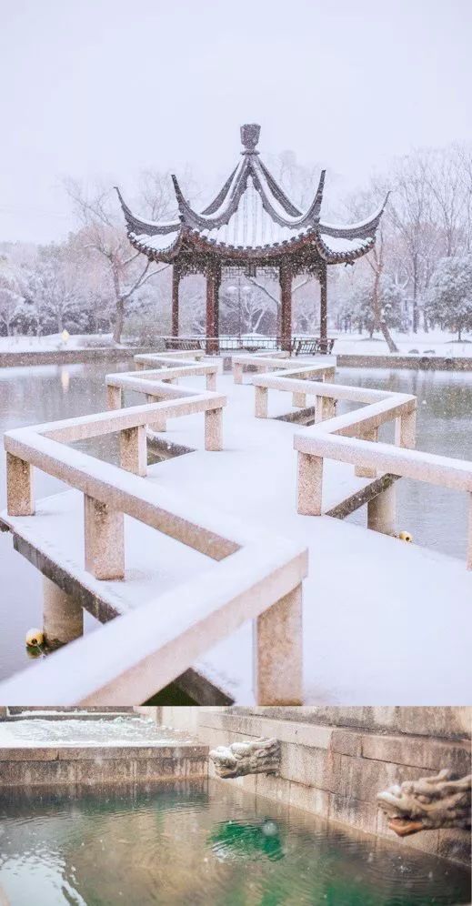拍照攻略大全苏州风景,苏州哪里拍照好看又实惠