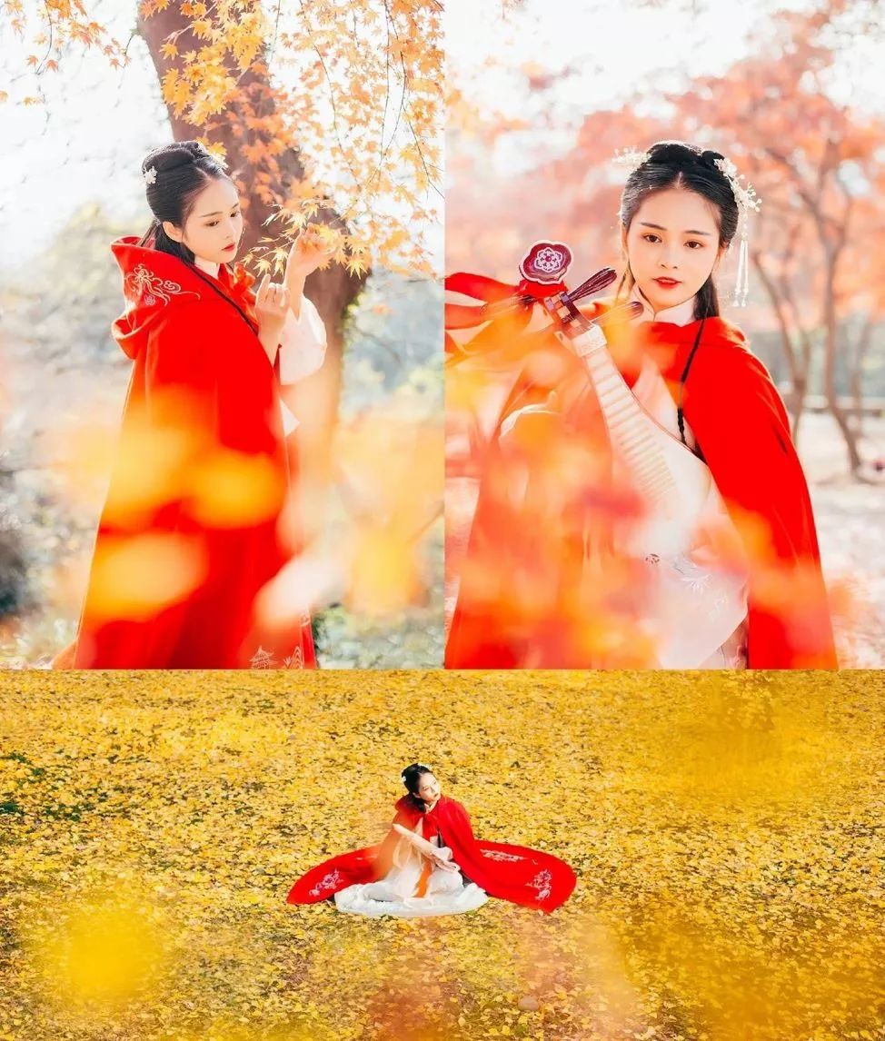 拍照攻略大全苏州风景,苏州哪里拍照好看又实惠