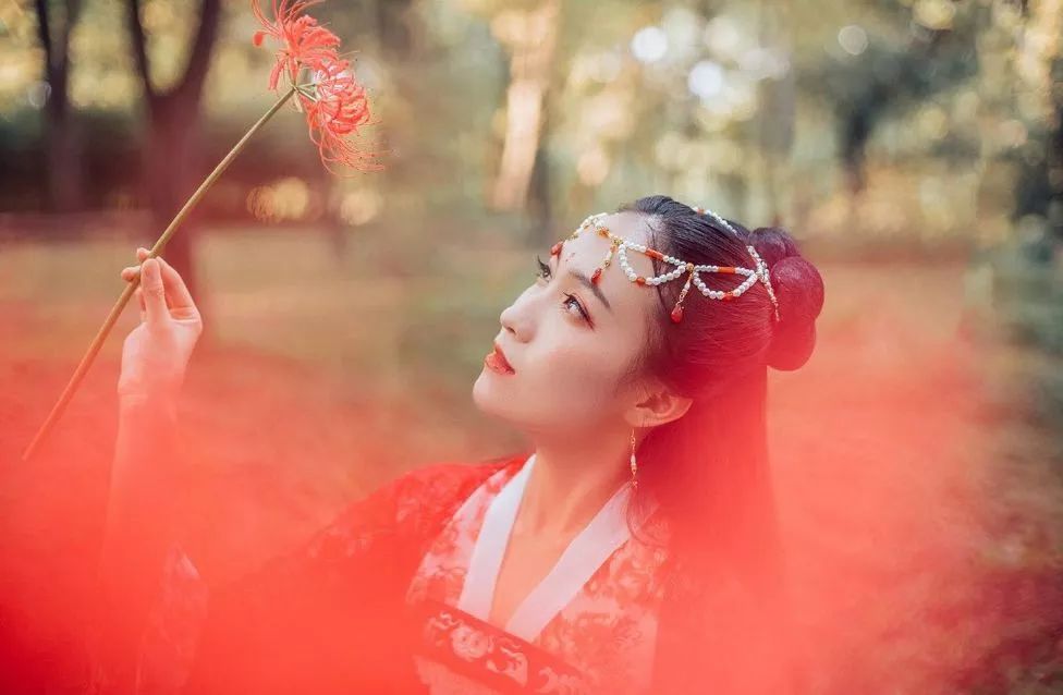 拍照攻略大全苏州风景,苏州哪里拍照好看又实惠