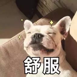 100%正品正宗纯天然桑蚕丝蚕丝被,正品纯手工100桑蚕丝被