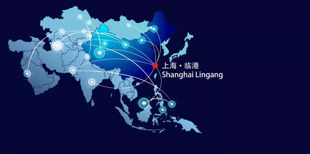 临港海洋节最新视频,临港海洋节