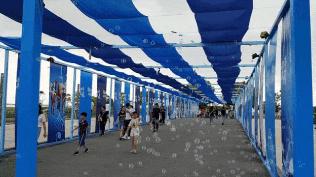 临港海洋节最新视频,临港海洋节