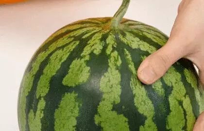 挑西瓜的小妙招你学会了吗,挑西瓜最甜的方法