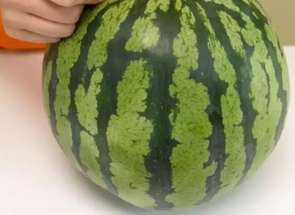 挑西瓜的小妙招你学会了吗,挑西瓜最甜的方法