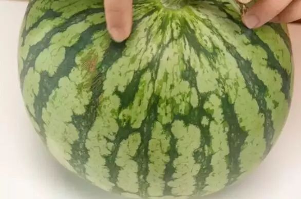 挑西瓜的小妙招你学会了吗,挑西瓜最甜的方法