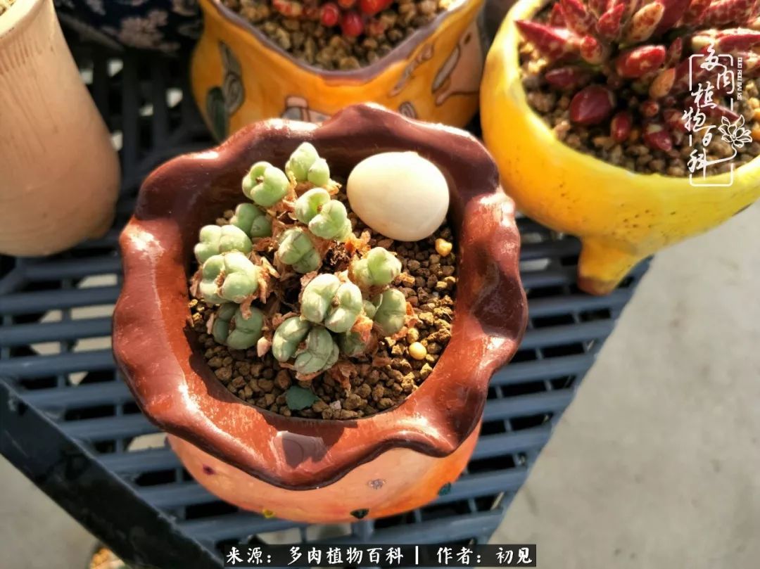 紧张焦虑高考,高考紧张时刻有你陪伴