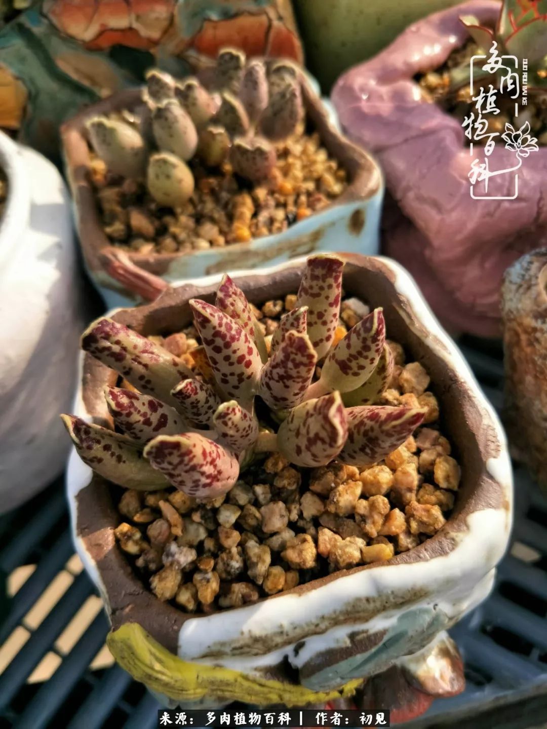 紧张焦虑高考,高考紧张时刻有你陪伴