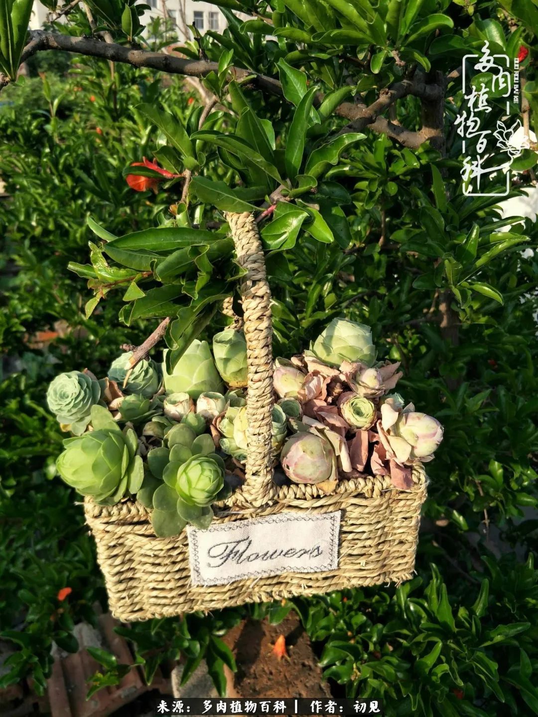 紧张焦虑高考,高考紧张时刻有你陪伴