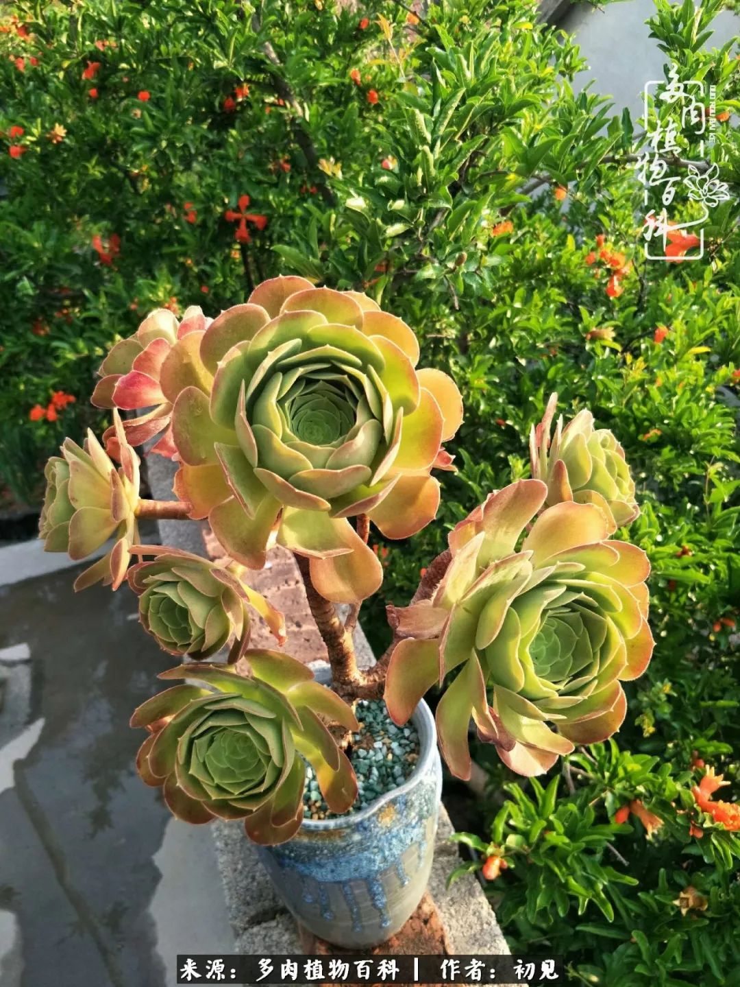 紧张焦虑高考,高考紧张时刻有你陪伴