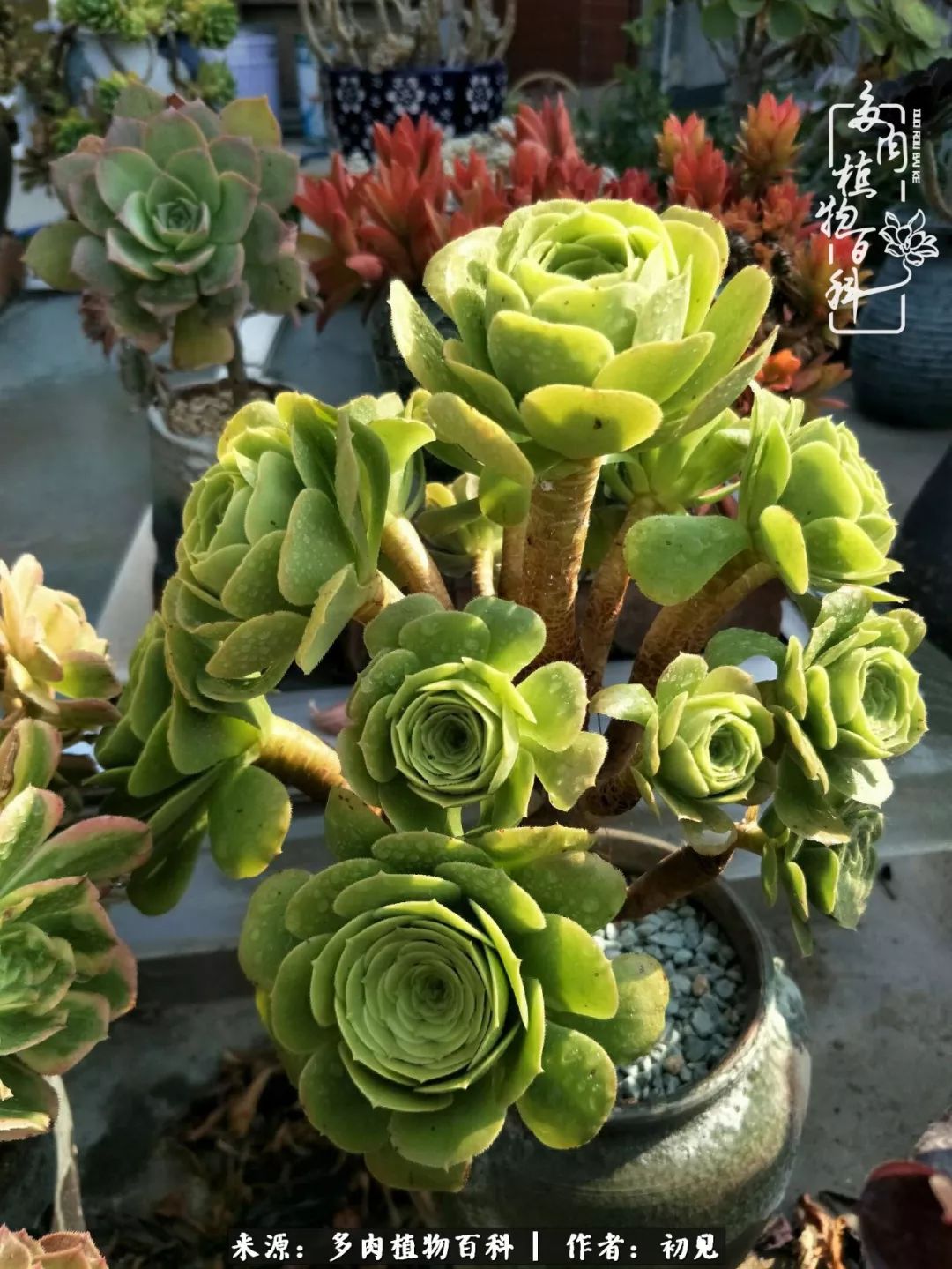 紧张焦虑高考,高考紧张时刻有你陪伴