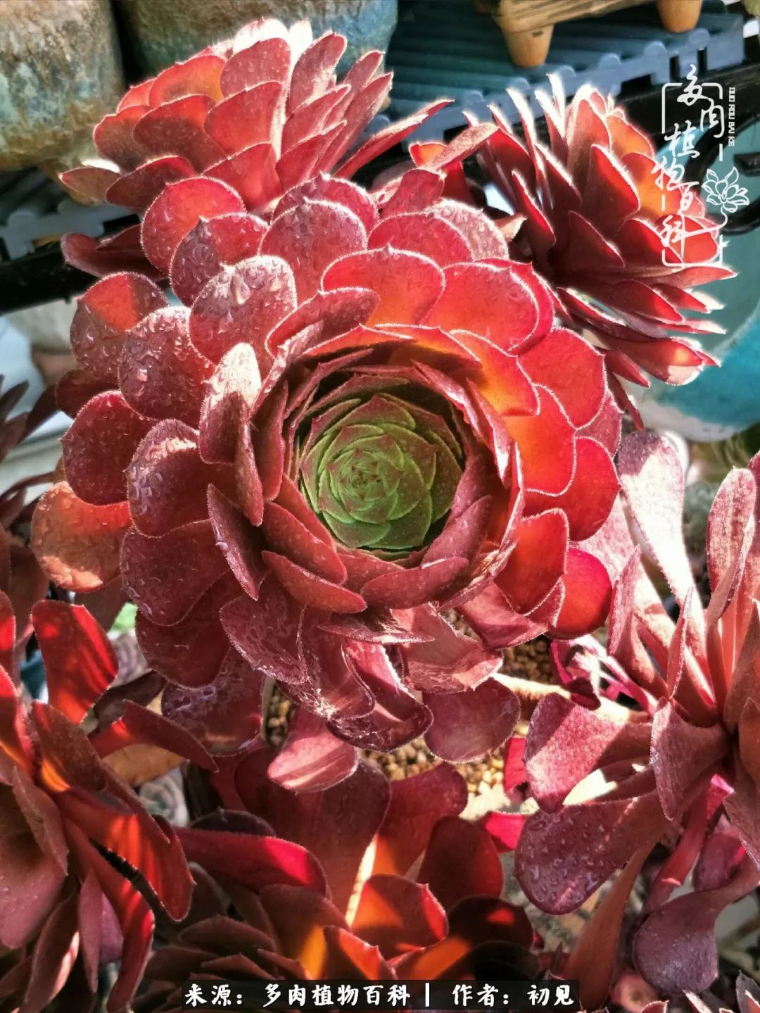 紧张焦虑高考,高考紧张时刻有你陪伴