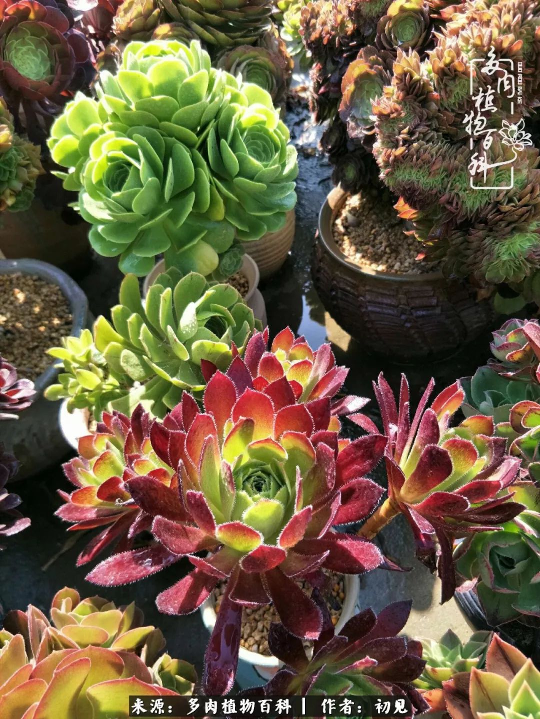 紧张焦虑高考,高考紧张时刻有你陪伴