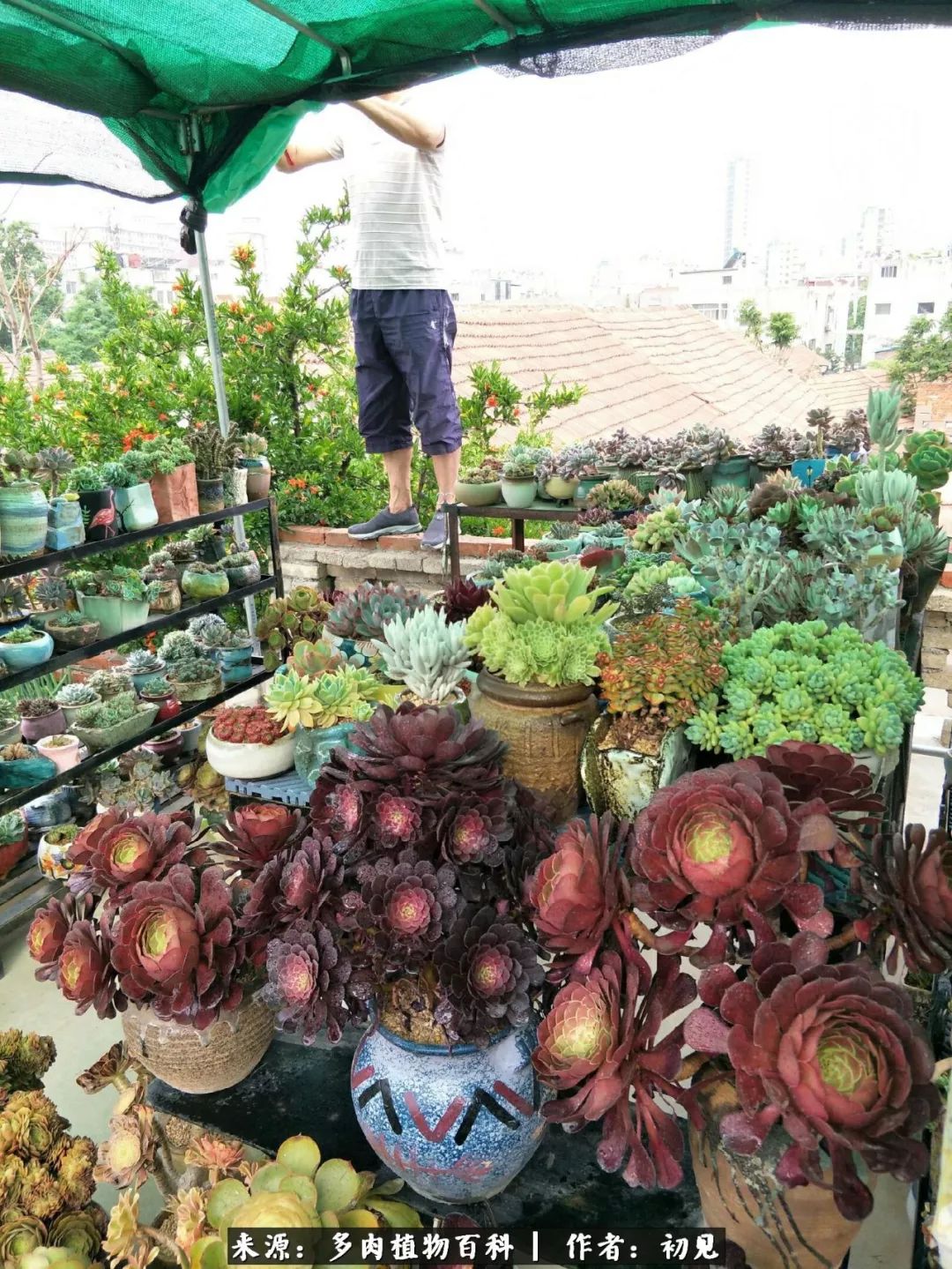 紧张焦虑高考,高考紧张时刻有你陪伴