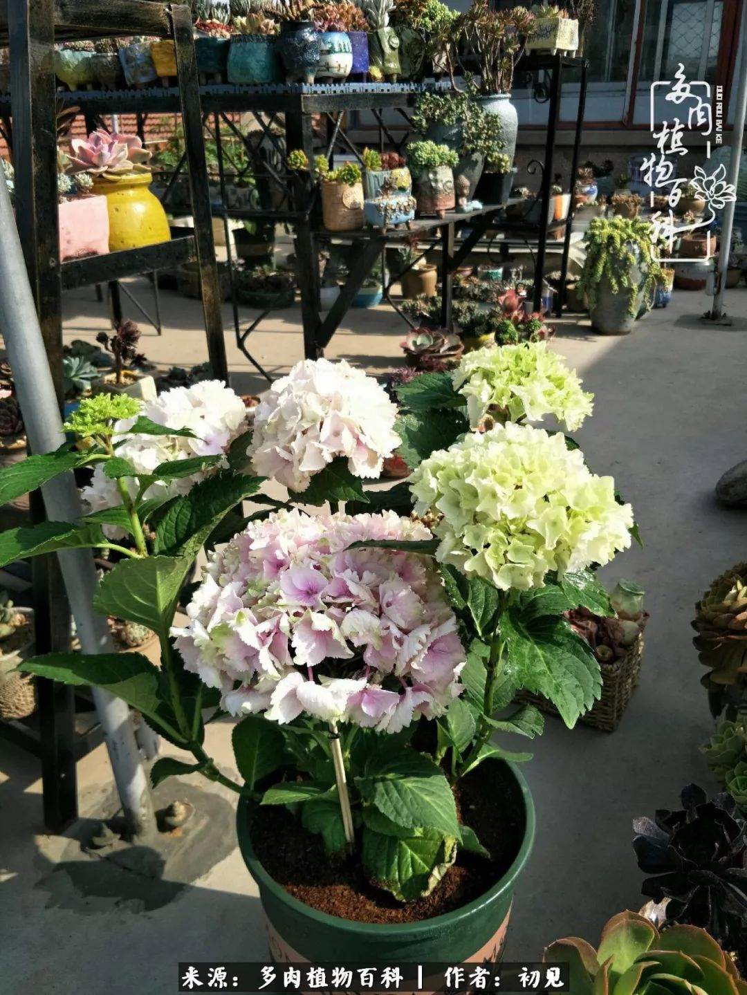 紧张焦虑高考,高考紧张时刻有你陪伴