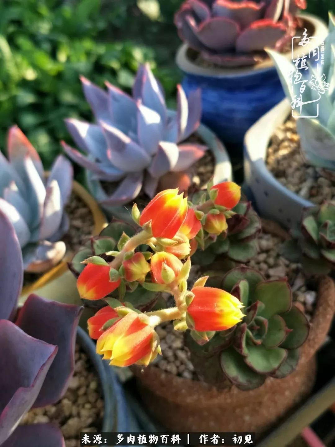 紧张焦虑高考,高考紧张时刻有你陪伴