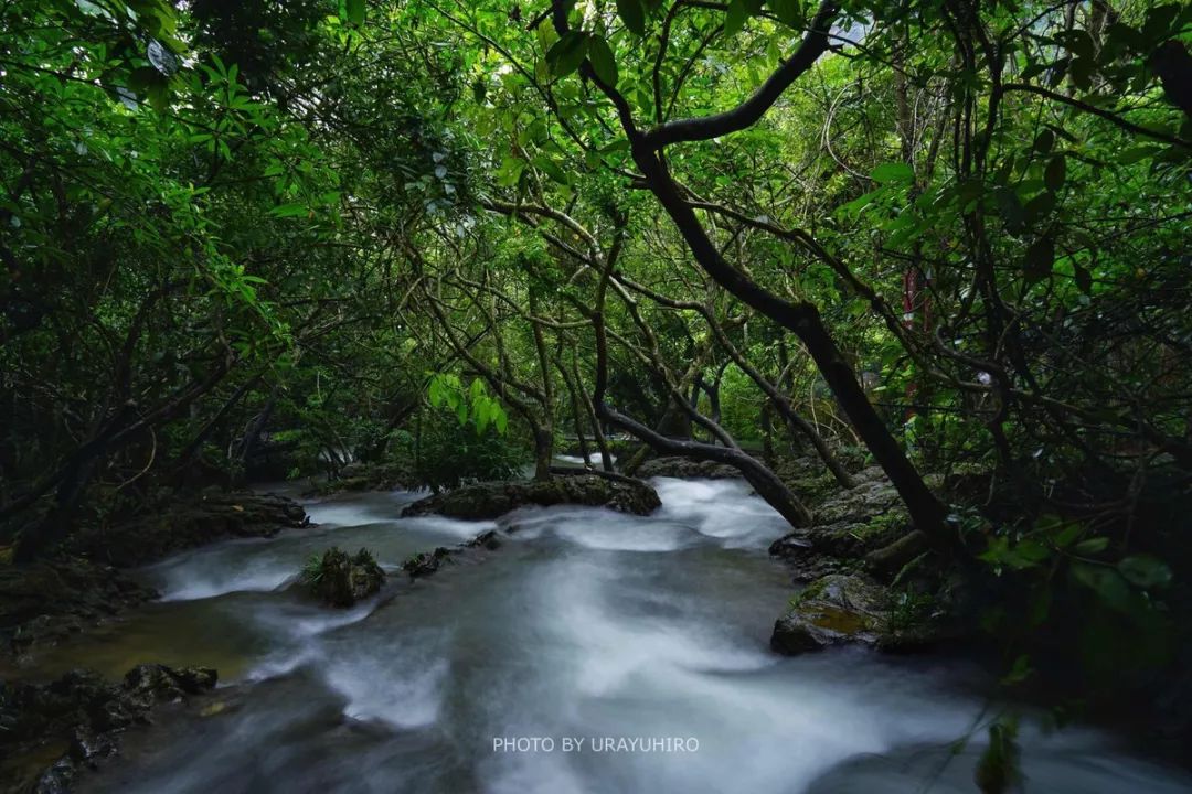 避暑天堂景区门票,避暑天堂门票