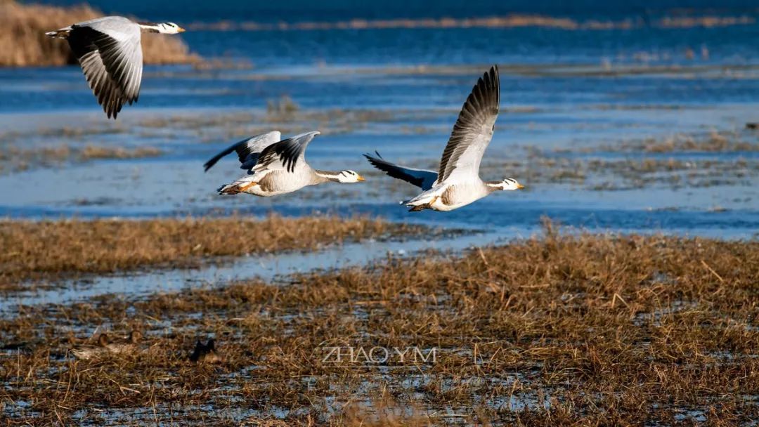 避暑天堂景区门票,避暑天堂门票