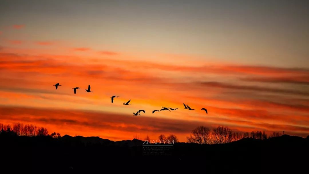 避暑天堂景区门票,避暑天堂门票