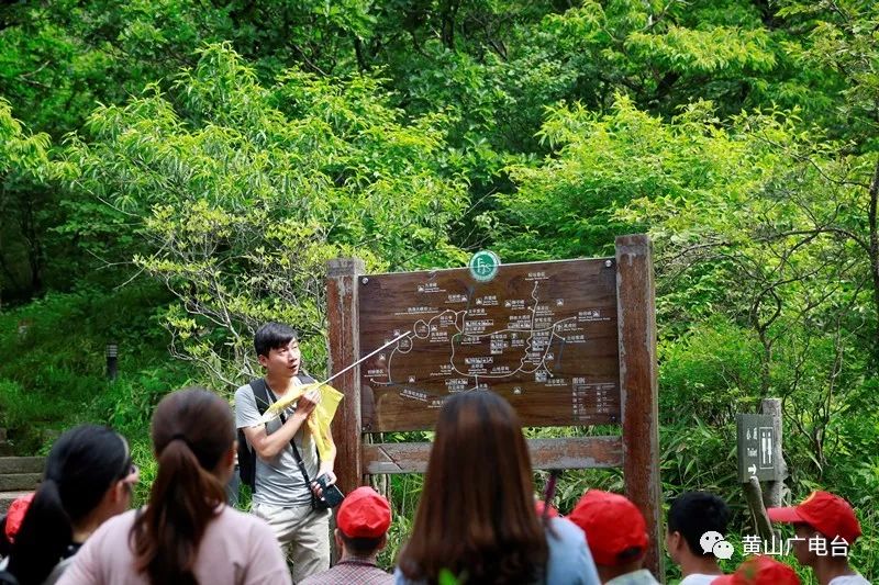 黄山自然山水风光美图,黄山美图高清图片大全
