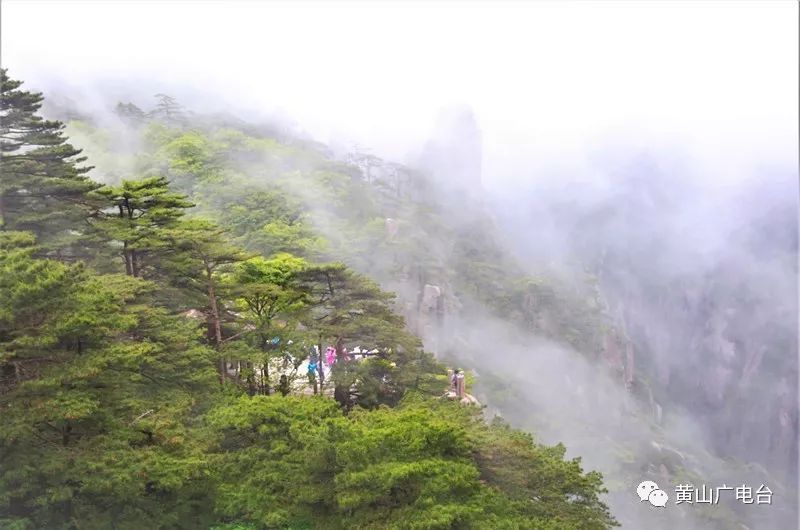 黄山自然山水风光美图,黄山美图高清图片大全