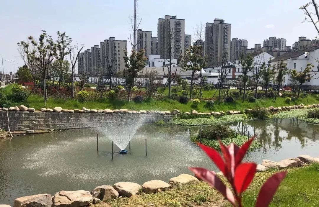 宁波中医院体检报告,宁波新诚体检报告查询