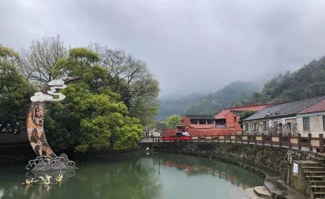 宁波中医院体检报告,宁波新诚体检报告查询