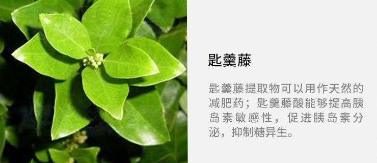 一白遮百丑闺蜜,一白美白丸真的有效果吗