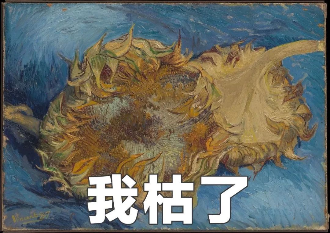 中年发福是什么,中年人发福的感受