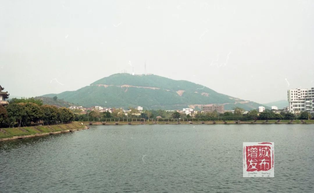 满满的回忆！一组珍贵老照片，带你见证增城变迁！