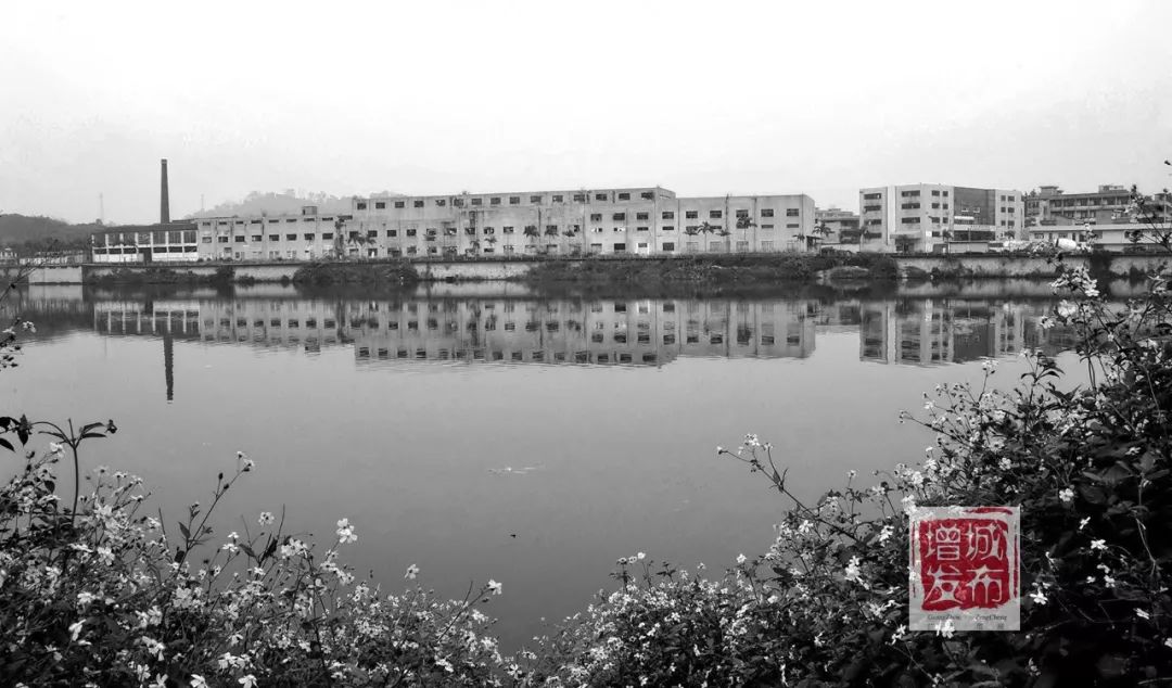 满满的回忆！一组珍贵老照片，带你见证增城变迁！