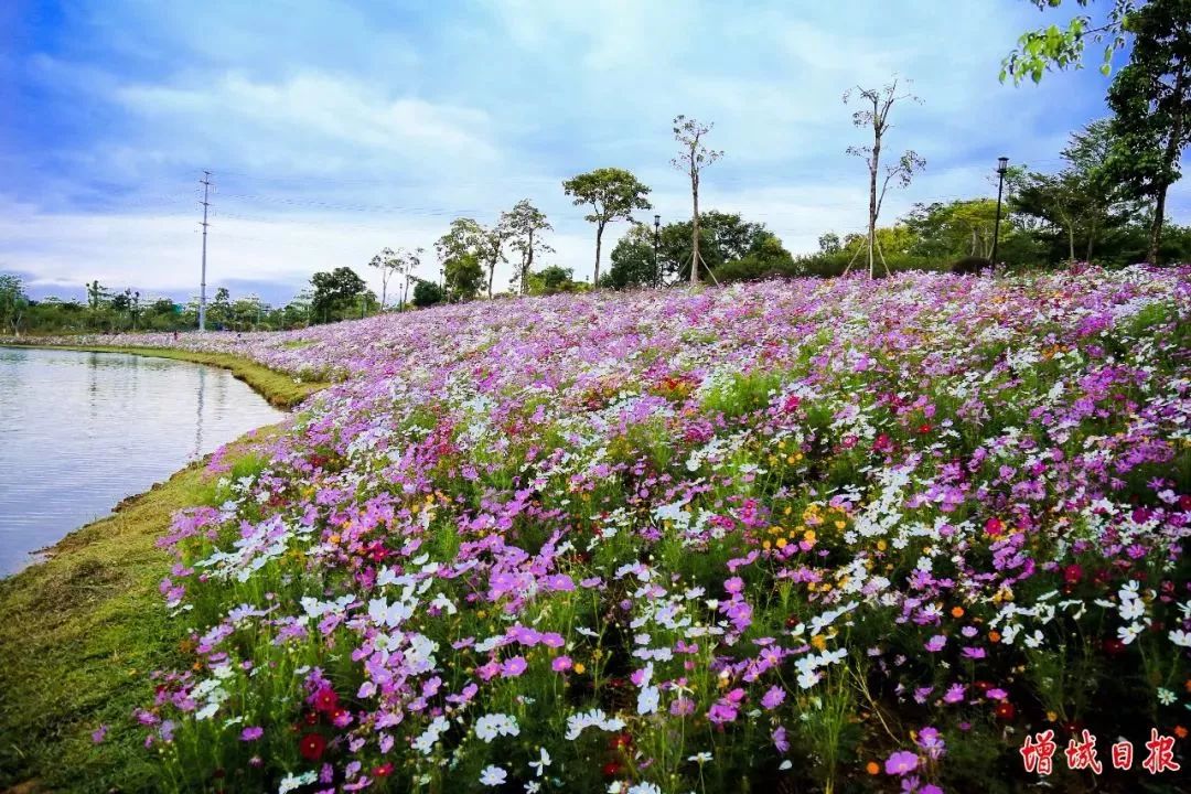 满满的回忆！一组珍贵老照片，带你见证增城变迁！