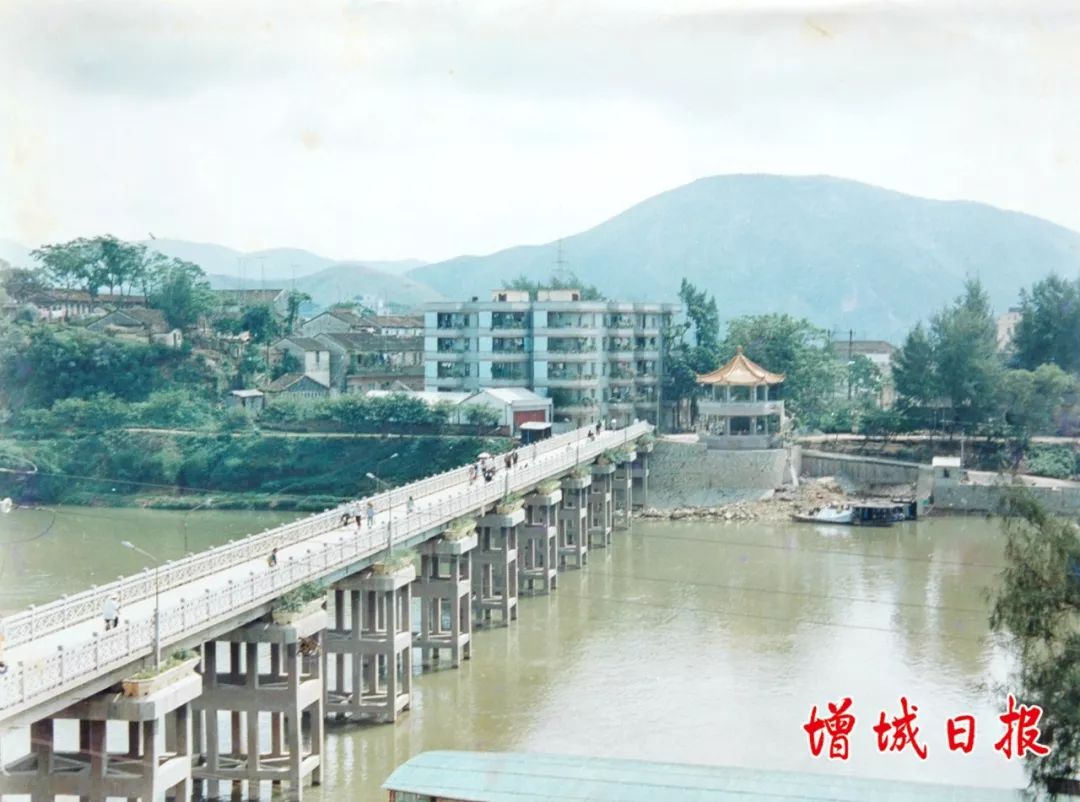 60张照片回忆成长,60多张老照片的回忆