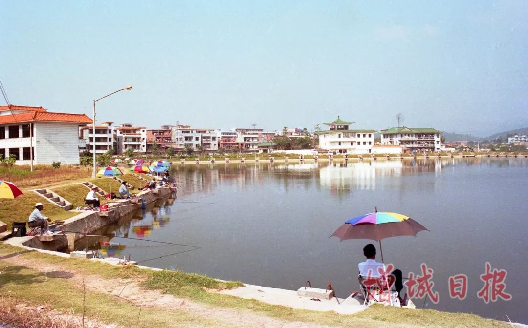 60张照片回忆成长,60多张老照片的回忆