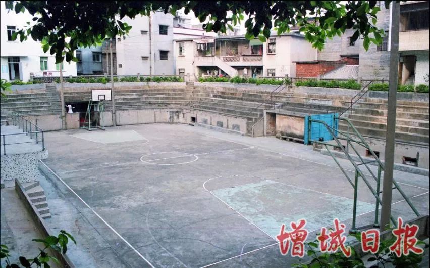 60张照片回忆成长,60多张老照片的回忆