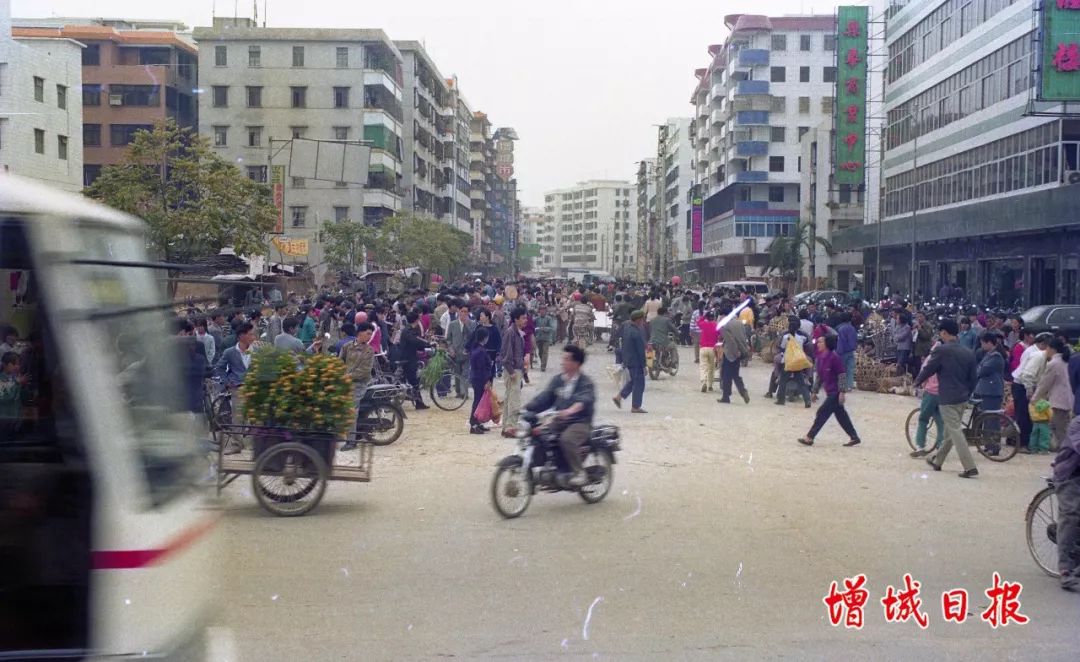 60张照片回忆成长,60多张老照片的回忆