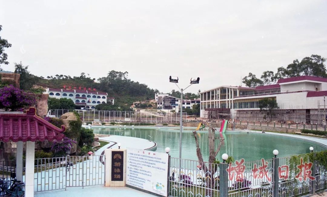 60张照片回忆成长,60多张老照片的回忆