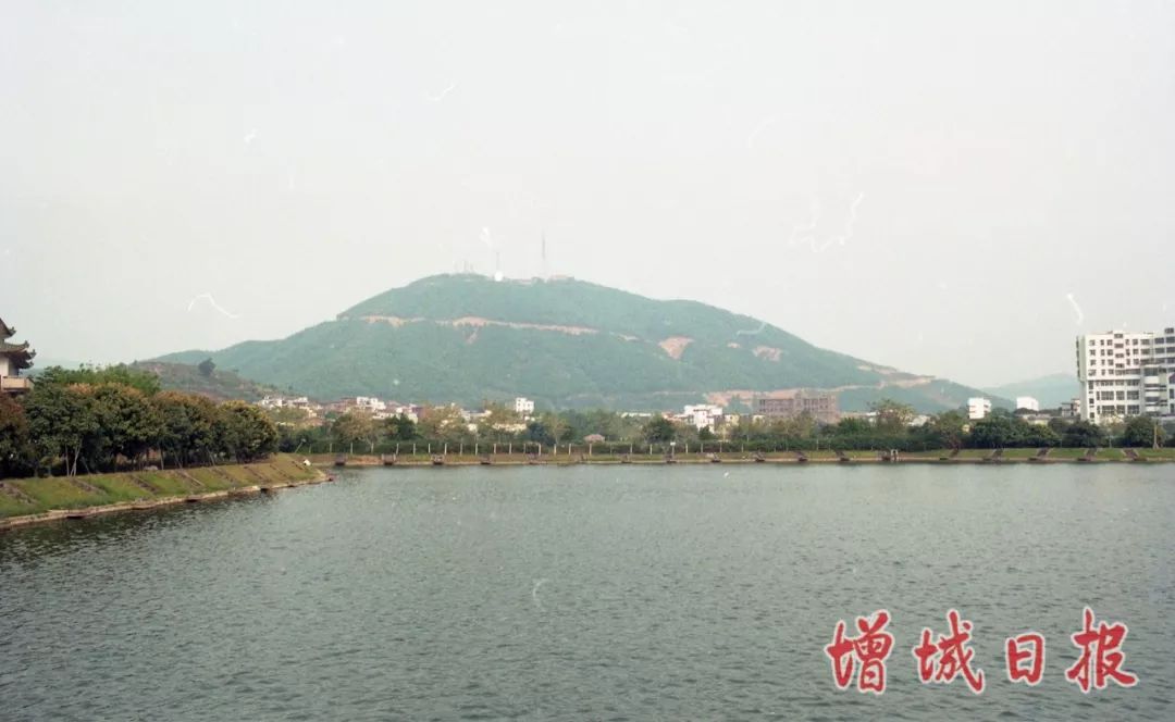 60张照片回忆成长,60多张老照片的回忆