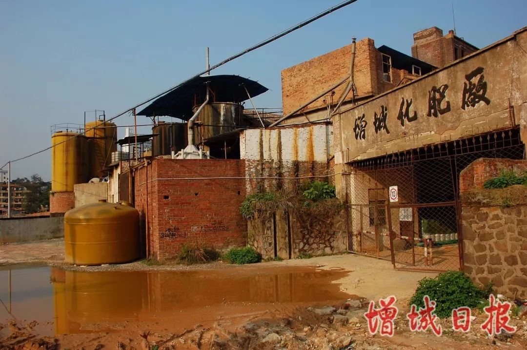 60张照片回忆成长,60多张老照片的回忆