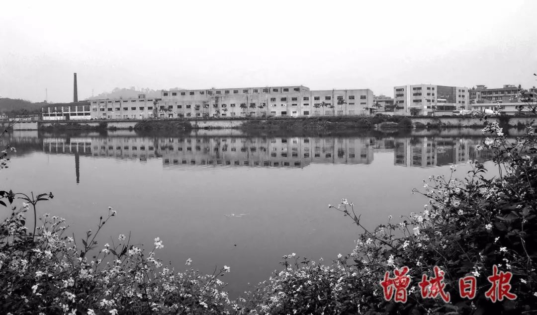 60张照片回忆成长,60多张老照片的回忆