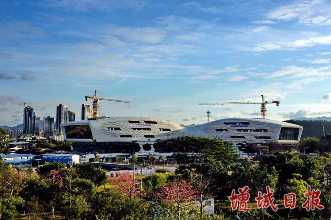 60张照片回忆成长,60多张老照片的回忆