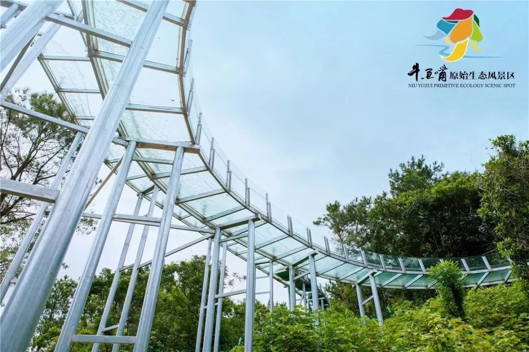 清远漂流开吗,清远古龙峡漂流哪个好玩