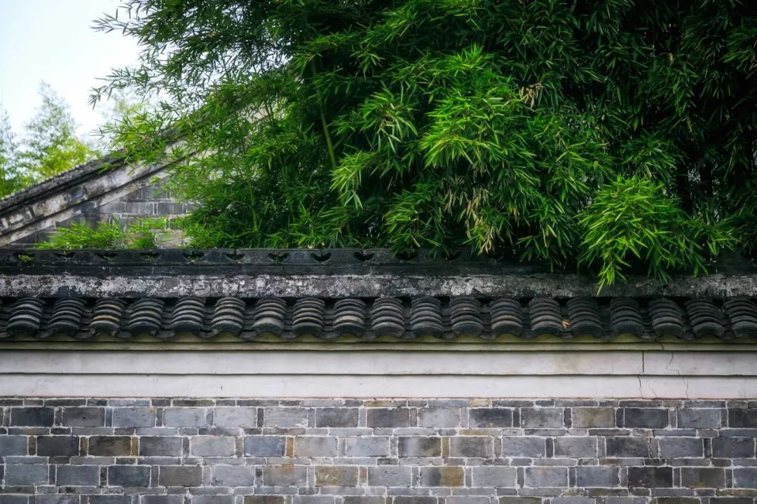 夏天最美十首诗词,100首入夏诗词带你清凉一夏