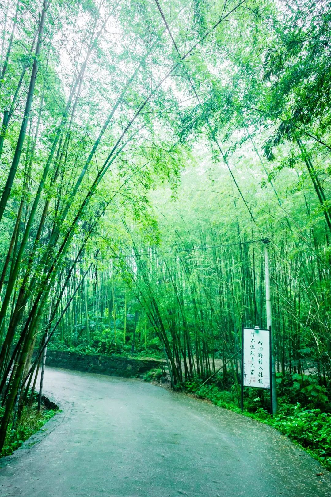 夏天最美十首诗词,100首入夏诗词带你清凉一夏