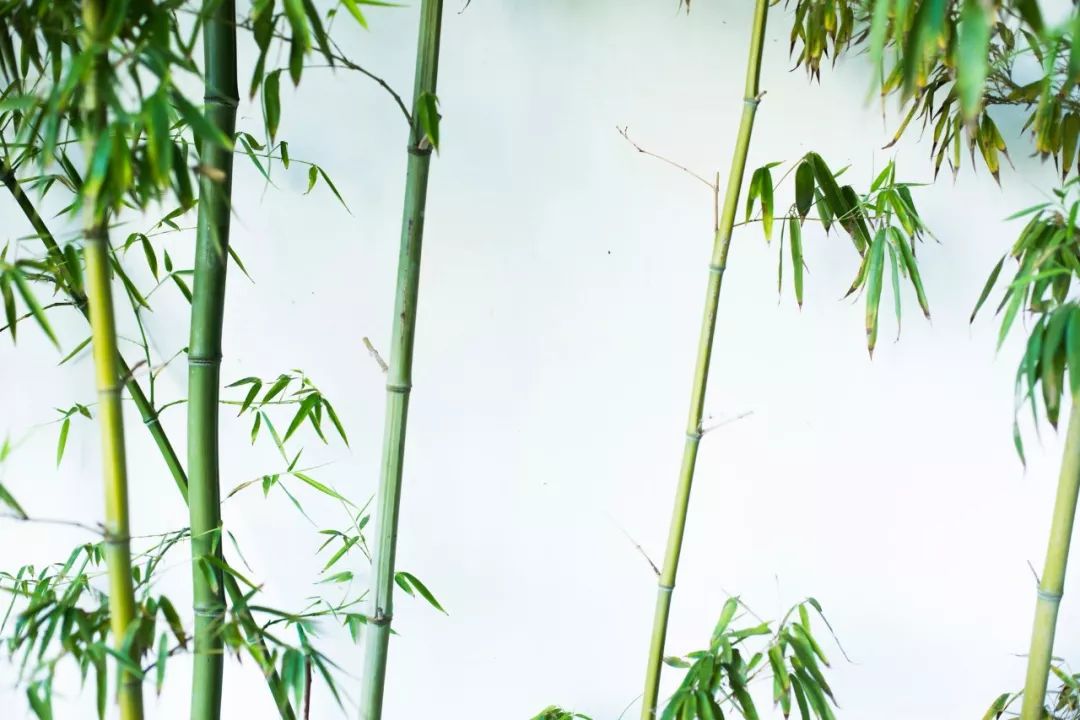 夏天最美十首诗词,100首入夏诗词带你清凉一夏